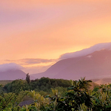 ArthoGeneva ArthoGeneva